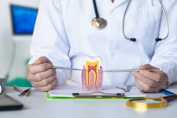 Best Emergency Dental Care for Sports Injuries in Fairmount, IN